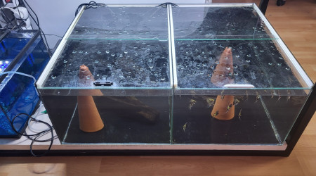 aquarium batterie 2