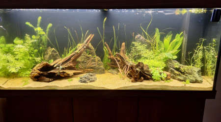 aquarium 240L communautaire