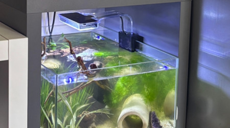 aquarium ZOLUX betta rek 24 Shiro