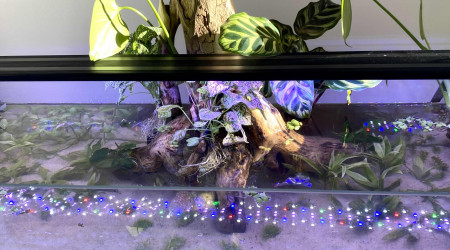 aquarium Aquarium