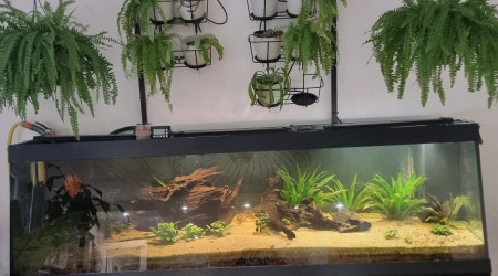 aquarium BAC 600L