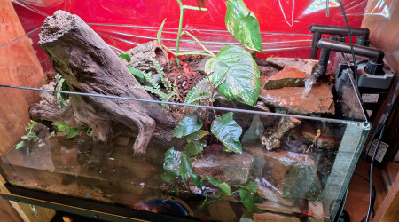 Poursuite des essais