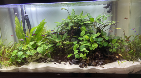aquarium Aquarium 400L