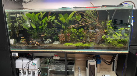 2 semaines après la mise en eau