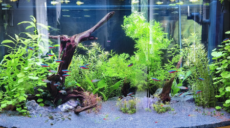 aquarium Juwel Vision 180