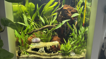 aquarium Nano cube AMTRA 30 Moon