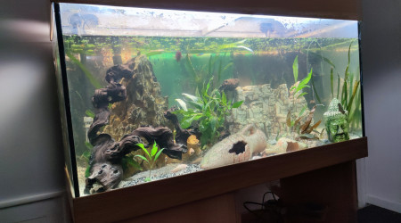 aquarium xerrinico