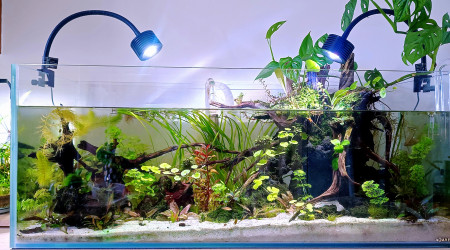 aquarium 160l