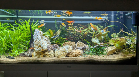aquarium JUWEL RIO180 ENTREE