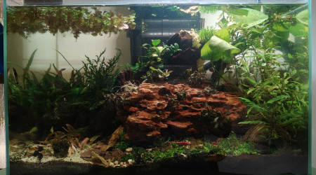 aquarium Riparium