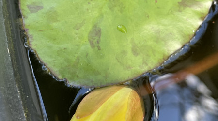 Aller encore un petit effort !