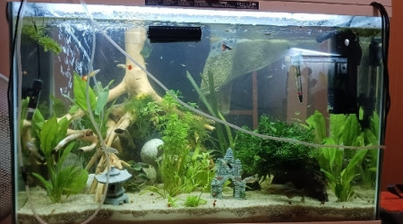 aquarium Aquarium 150l