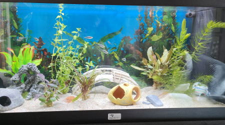 aquarium Didier_89100