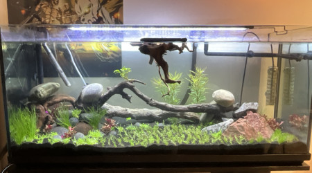 aquarium Aquarium 2