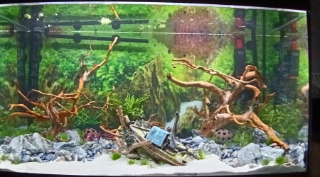 aquarium Aqua-Asia