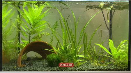aquarium nano aqua