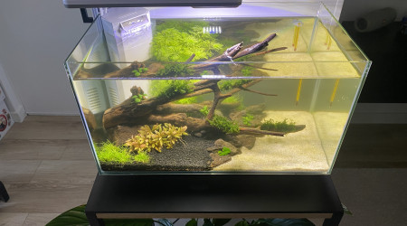 aquarium Aquarium