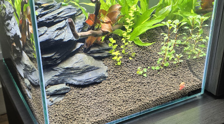 aquarium Cube 33L