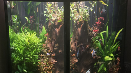 aquarium Cube 600 L