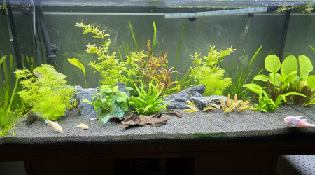 aquarium Juwel Rio 180