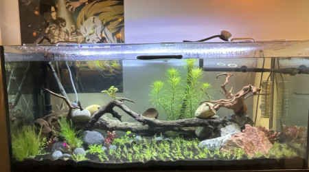 aquarium Aquarium 2