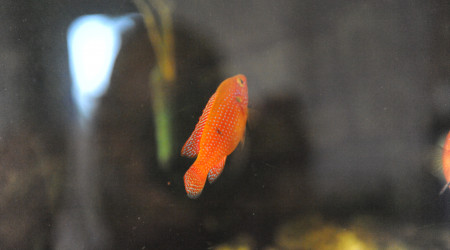 Levé du jour vendredi 12/09 matin