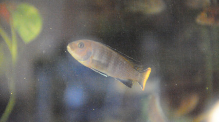 Levé du jour vendredi 12/09 matin