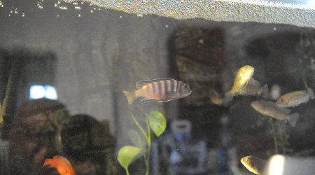 Levé du jour vendredi 12/09 matin