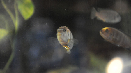 Levé du jour vendredi 12/09 matin