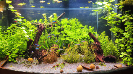 aquarium Juwel Vision 180