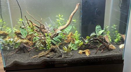 aquarium Moumou