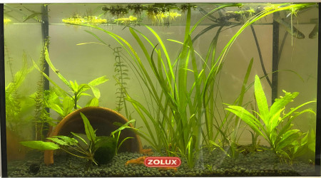 aquarium nano aqua
