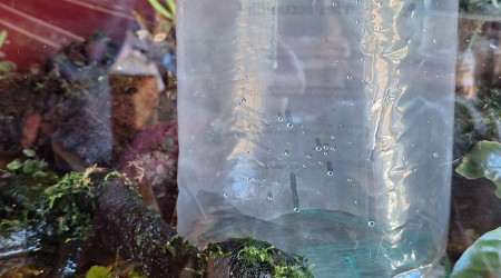 Du nouveau pour le palu !