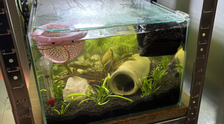 Changement du sol par du sol technique