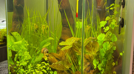 aquarium Tank Truffy 45L Rio