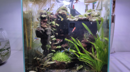 aquarium Nano 30