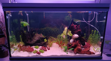 aquarium Patriciah2o