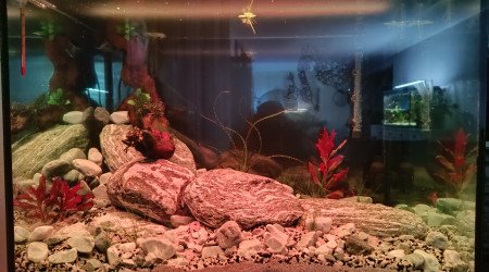 aquarium La rivière