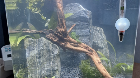 aquarium Futur crevettodrome