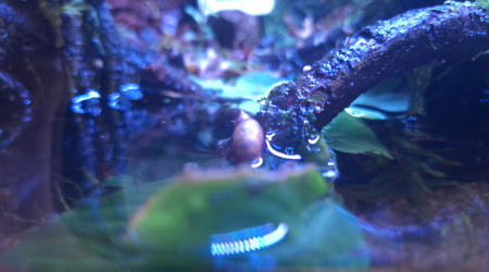 Nouveau filtre arrivé !