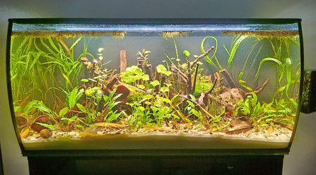 aquarium Fluval flex 123l