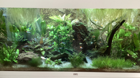 aquarium Rio 180