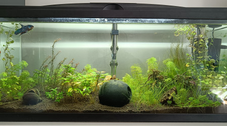aquarium 70 litres