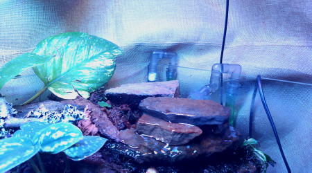 Changement de filtre