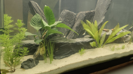 aquarium Rivière minéral 250L