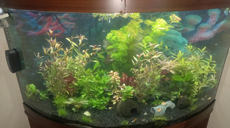 aquarium Ab