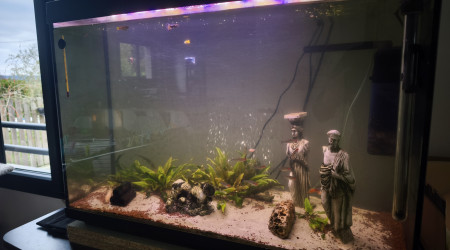 aquarium Aquarium