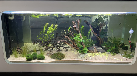 aquarium Aquatable Asie