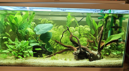 aquarium Soixante