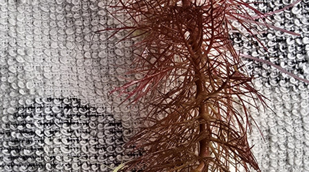 aquarium Aquarium 38 l